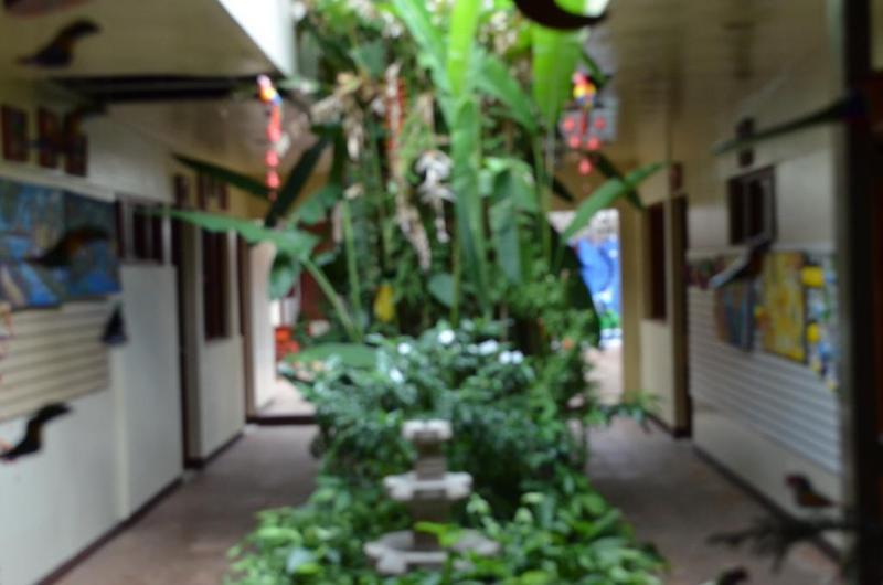 Art Hotel Managua Bagian luar foto